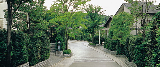 屋根、ドーロン外壁劣化調査